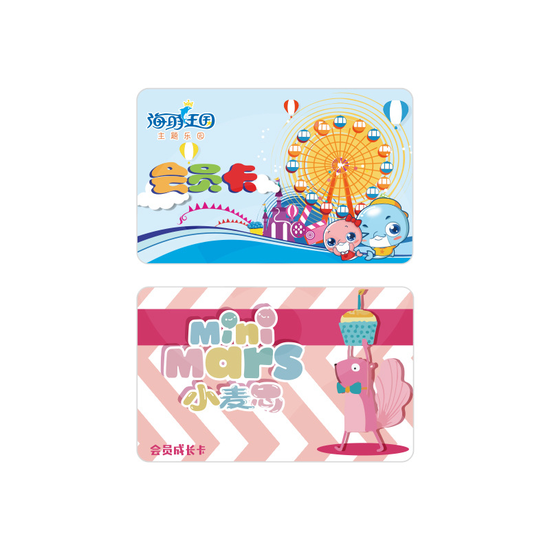 公交IC卡定制智能IC卡工廠IC卡生產(chǎn)廠家2