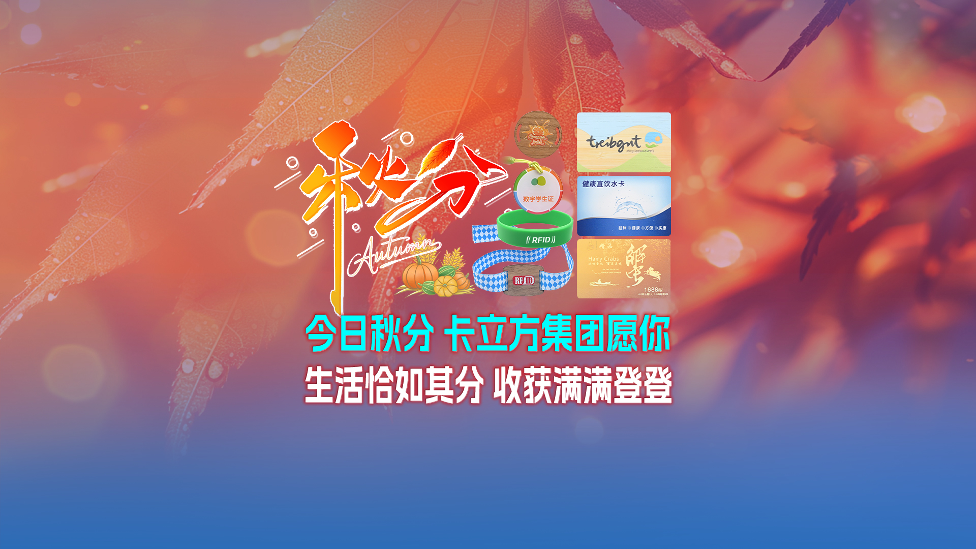 秋分至，卡立方集團智能卡工廠以RFID多元化物聯網產品科技賦能萬物互聯